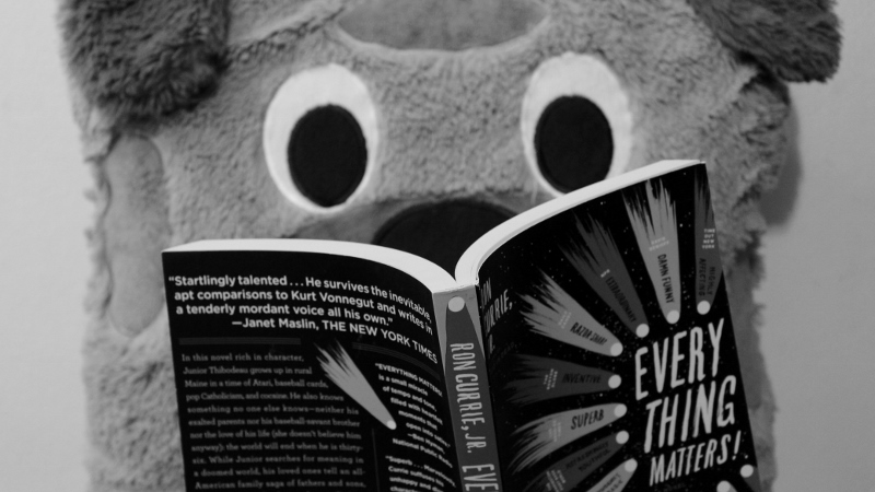 Rupert is reading 'Everything Matters!'