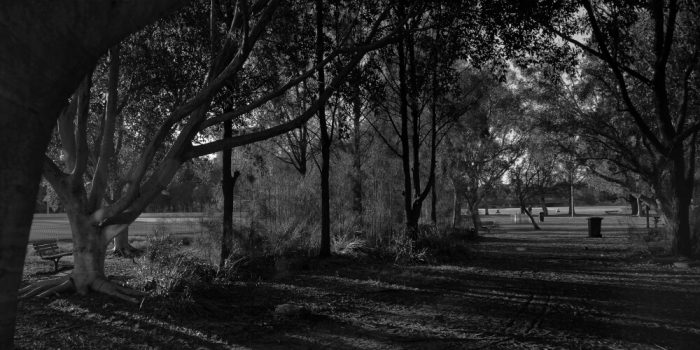 Cahill Park at Sunset Wolli Creek Sydney Australia